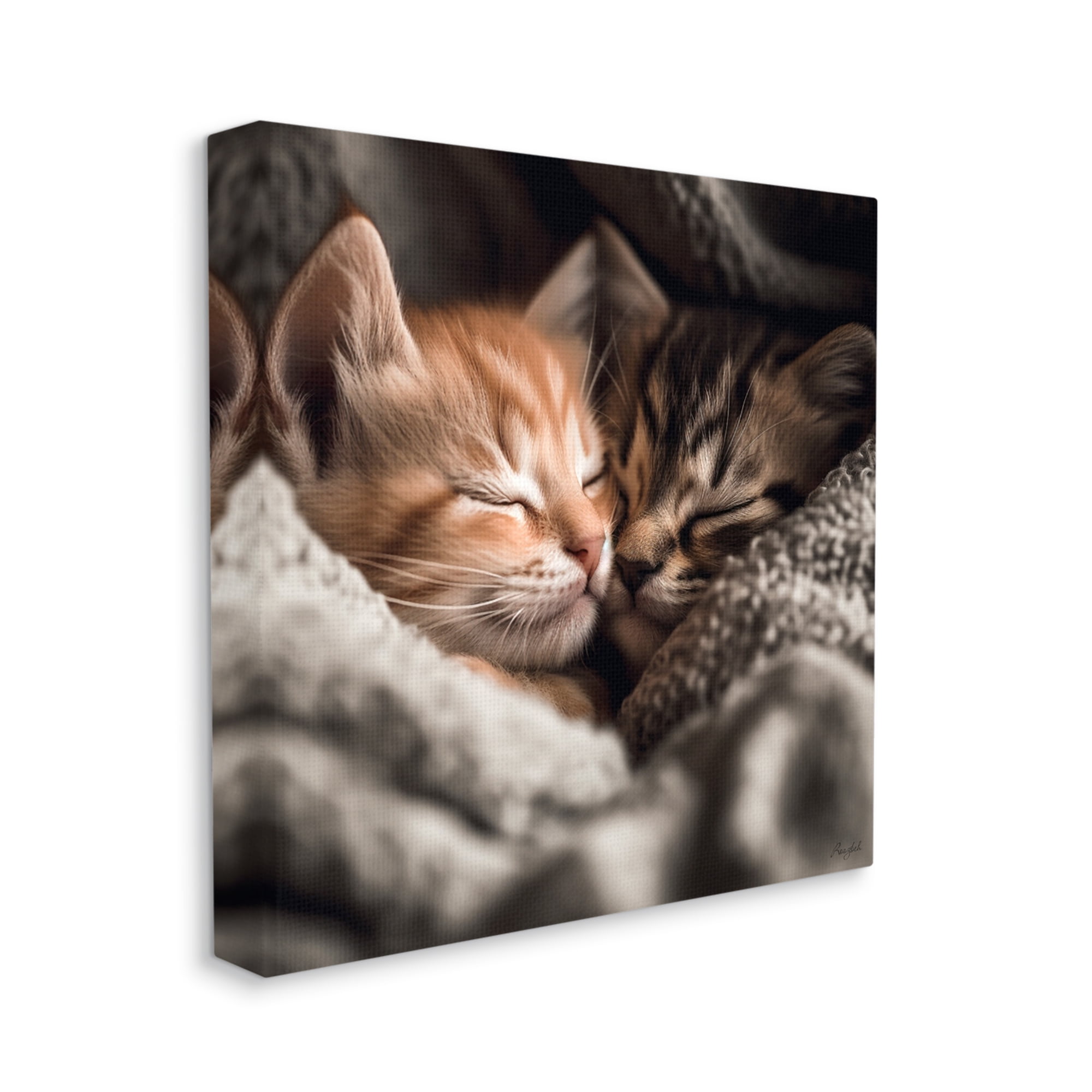 Stupell Industries Cuddling Kittens Portrait Animals & Insects Painting Gallery Wrapped Canvas Art Print Wall Art, 17 x 17