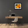 thumbnail image 3 of Popcorn 14x12 Black Ornate Wood Framed with Double Matting Museum Art Print Titled - Poppy, 3 of 4