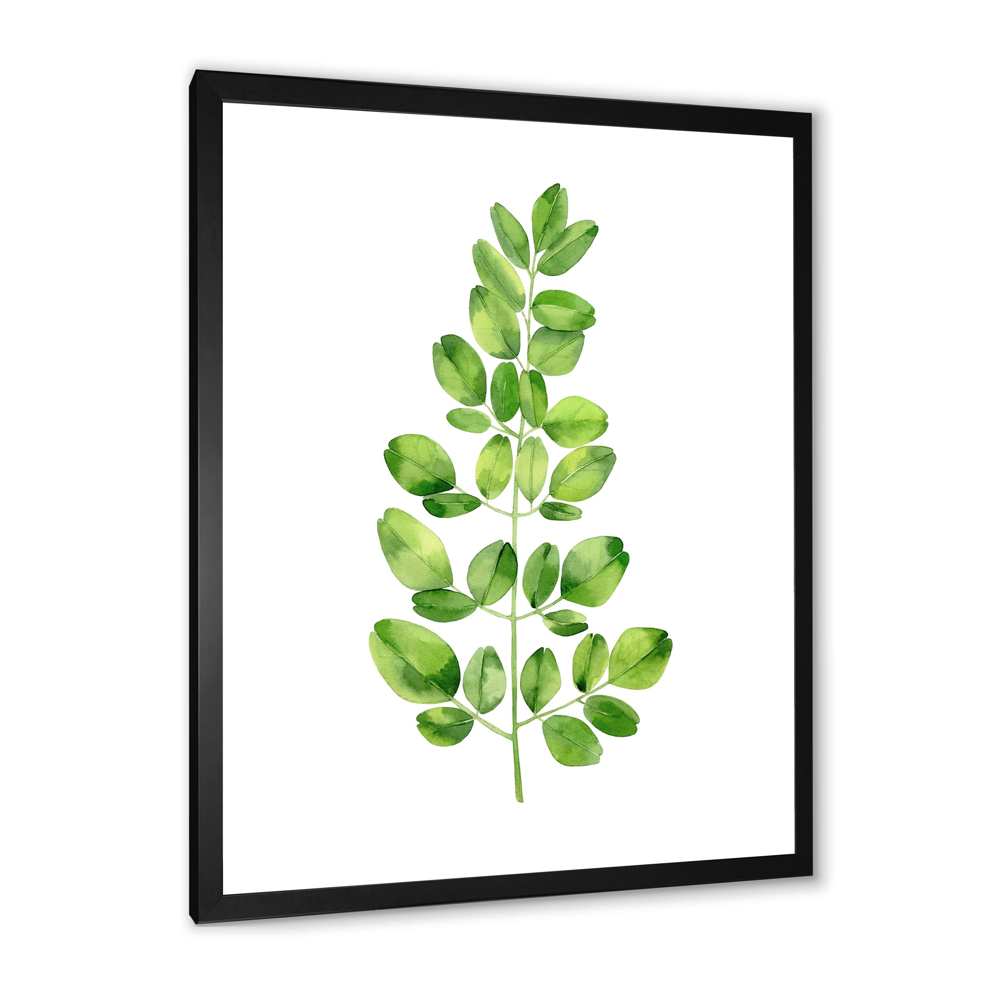 Moringa Plant Branch Tropical Tree Foliage 30 in x 40 in Framed Painting Canvas Art Print, by Designart
