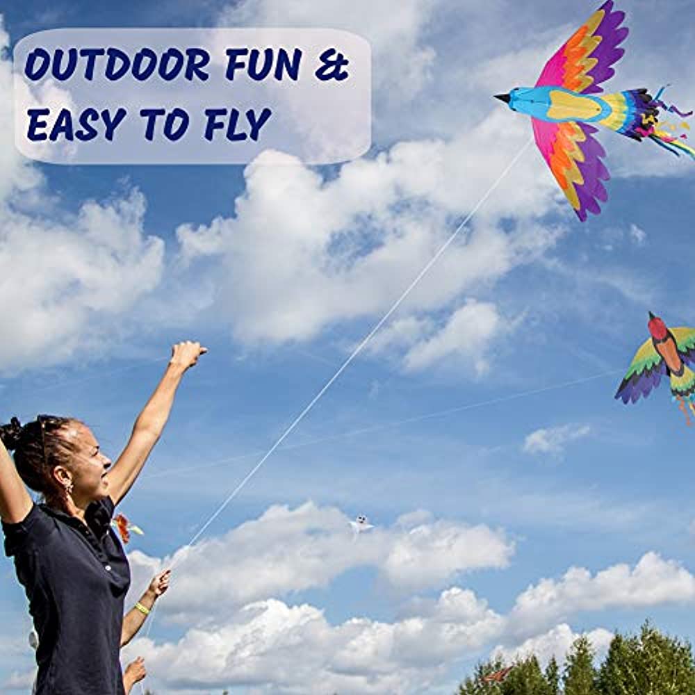 Paradise Bird Kite - 70 x 36 in, 300 ft Tested Line & Winder by Premier Kites