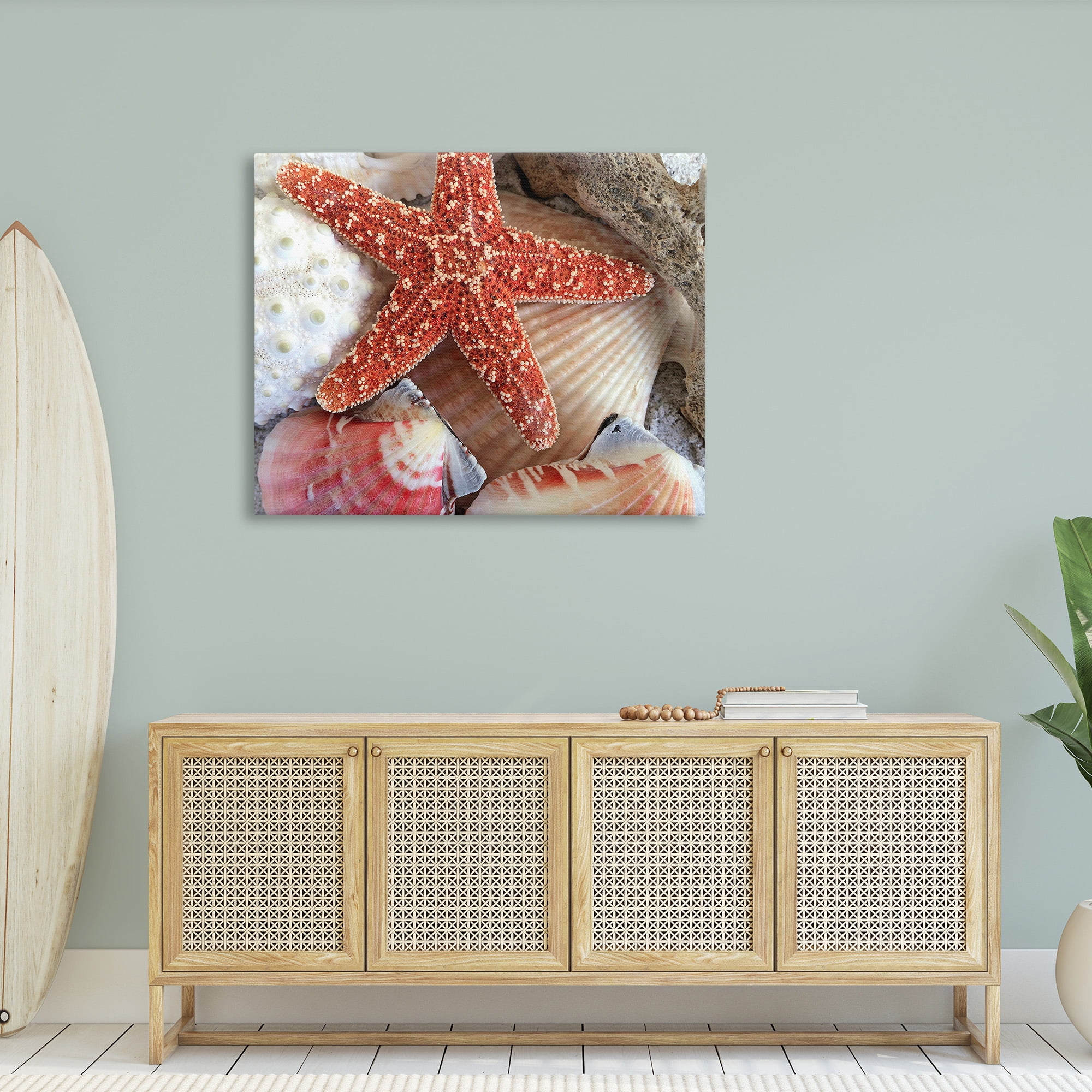 Stupell Industries Various Seashells Ashore Animals & Insects Photography Gallery Wrapped Canvas Art Print Wall Art, 48 x 36