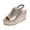Gold, variant on Women's Platform Wedge Gladiator Dressy Sandals Fashion Casual Metallic Leather Peep Toe Chunky High Heels Elastic Slingback Summer Shoes for Ladies Silver Size 9.5