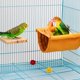 thumbnail image 3 of Litera con hamaca para pájaros, caja nido para pájaros, accesorios para jaulas de pájaros, juguete para pájaros que incluye tabla de asiento para pájaros y 5 bolas de ratán para cacatúas, pinzones, h TUNC Sencillez, 3 of 5