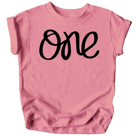

One 1st Birthday Shirt for Baby Girls First Birthday Outfit Mauve Shirt