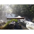 thumbnail image 5 of palo de lluvia 40cm, palo de agua,  instrumento,  musica, naturaleza, sonidos, indigenas, artesania, mayas, aztecas SABIDURÍA CHAMÁNICA pichilia Artesanal, 5 of 5