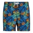 thumbnail image 1 of Regatta Shorts de Bain Feuilles Tropicales pour Hommes, 1 of 4