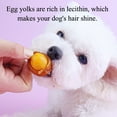 thumbnail image 4 of Chicken Wrapped Egg Yolk Dog Treats for Small, Medium, & Large Dog - Made with Fresh Chicken and Egg Yolk, Lecithin Rich Make the Perfect Positive-Reward Training Treats for Dogs,7.1oz, 4 of 9