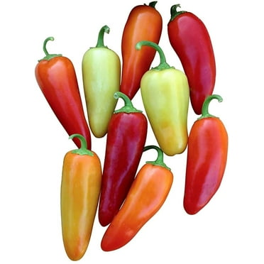 Sherwood's Seeds 10 Santa Fe Grande Guero Pepper Plant Seeds, Heirloom