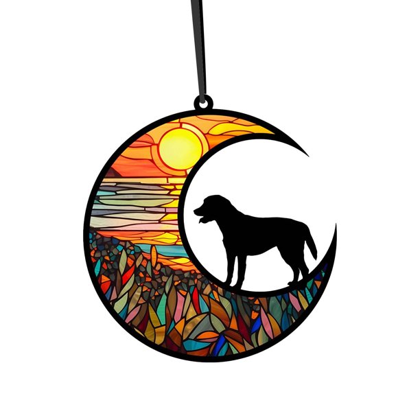 Etiquetas de identificación personalizadas para mascotas con impresión acrílica brillante, etiquetas de identificación grabadas personalizadas de acero cristalino para perros y gatos pequeños,