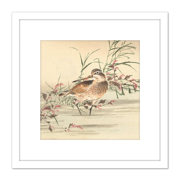 Kono Bairei Stream Bird Japanese Woodblock 8X8 Inch Square Wooden Framed Wall Art Print Picture with Mount