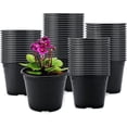 thumbnail image 1 of 100 Pcs 4" Plastic Plants Pots Black Black 4 Inch, 1 of 8