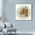 thumbnail image 3 of Trademark Fine Art 'Teddy Bears Picnic 2' Canvas Art by Peggy Harris, 3 of 3