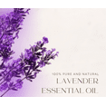 thumbnail image 6 of Lavender 40/42 Essential Oil - 4 fl oz (118 ml) Glass Bottle w/ Cap - 100% Pure Essential Oil by GreenHealth, 6 of 8