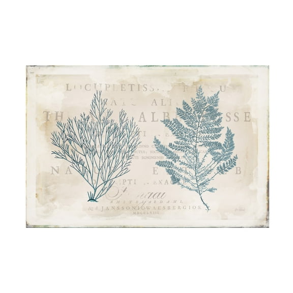 Katie Pertiet 'Sea Garden I' Canvas Art