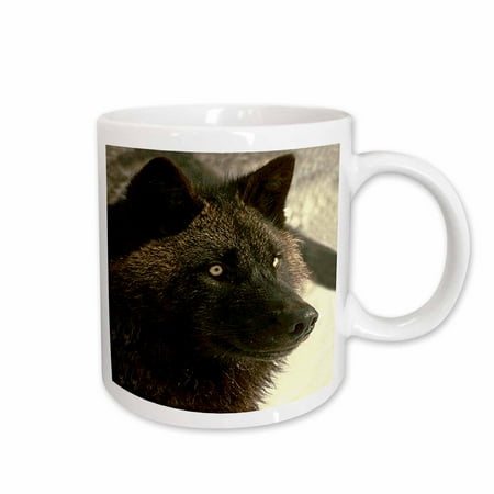 

3dRose Tundra Wolf Ceramic Mug 11-ounce