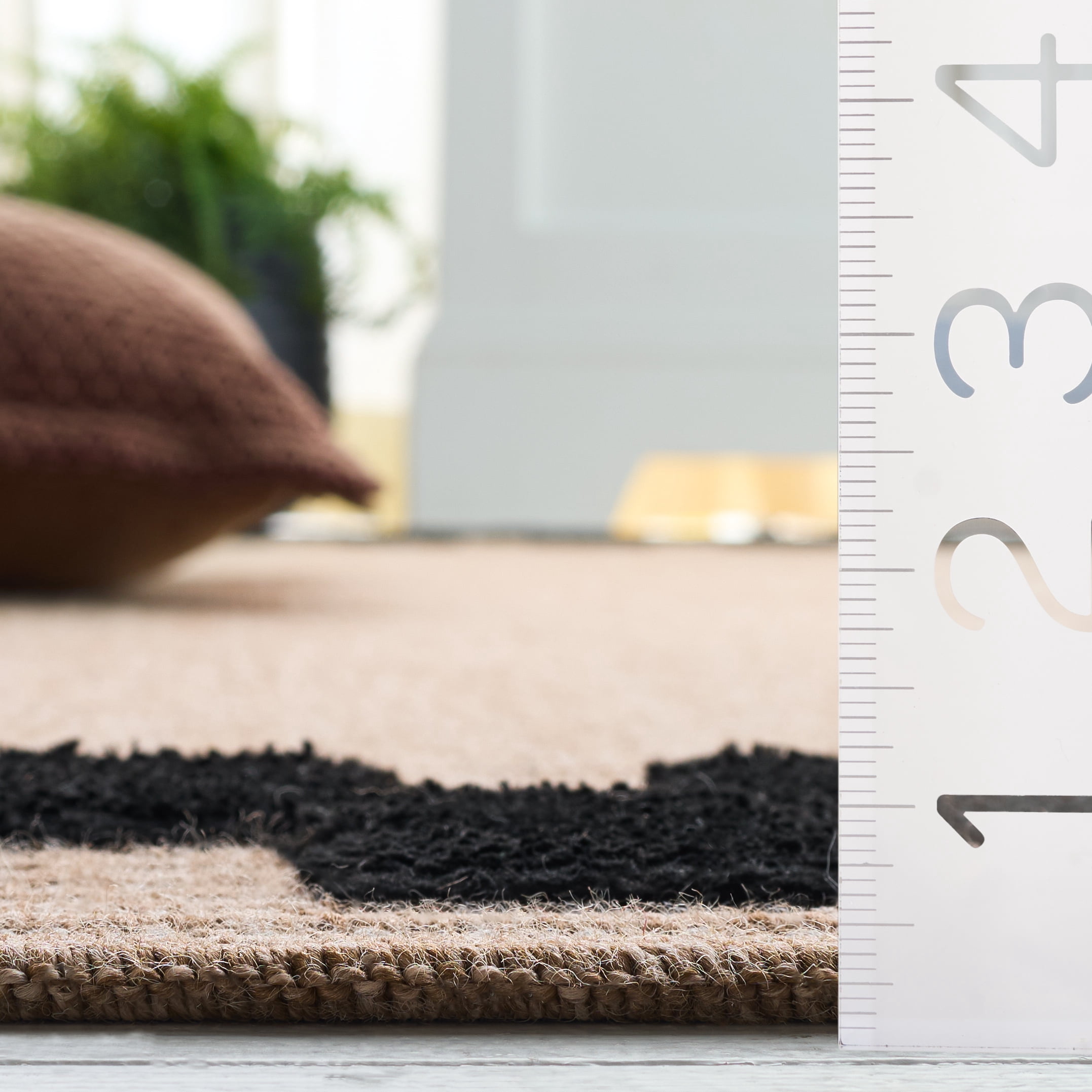 Safavieh Clayton Hervey Bordered Indoor/Outdoor Area Rug, Natural/Black, 4' x 6'