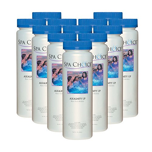 SpaChoice 472-3-5051-12 Alkalinity Increaser, 12-Pack