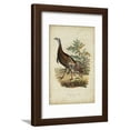 thumbnail image 1 of Wild Turkey Framed Print Wall Art by Charles L Bonapart Sold by Art.Com, 1 of 5