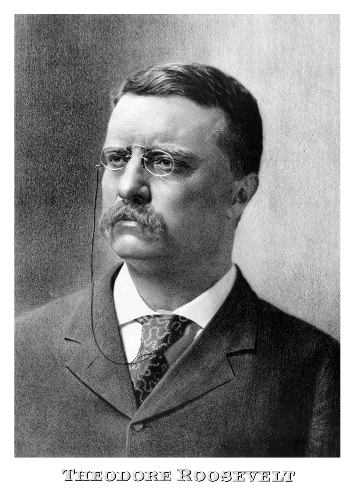 Vintage American history print of a younger President Theodore ...