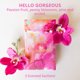 thumbnail image 2 of Bolsita aromática WillowBrook Fresh Scents Hello Gorgeous, paquete de 6, 2 of 8