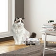 thumbnail image 3 of Smart Interactive Cat Toy, Electric Kitty Feather Ambush Catching Training Game Box Auto-Shut Off, 3 of 7