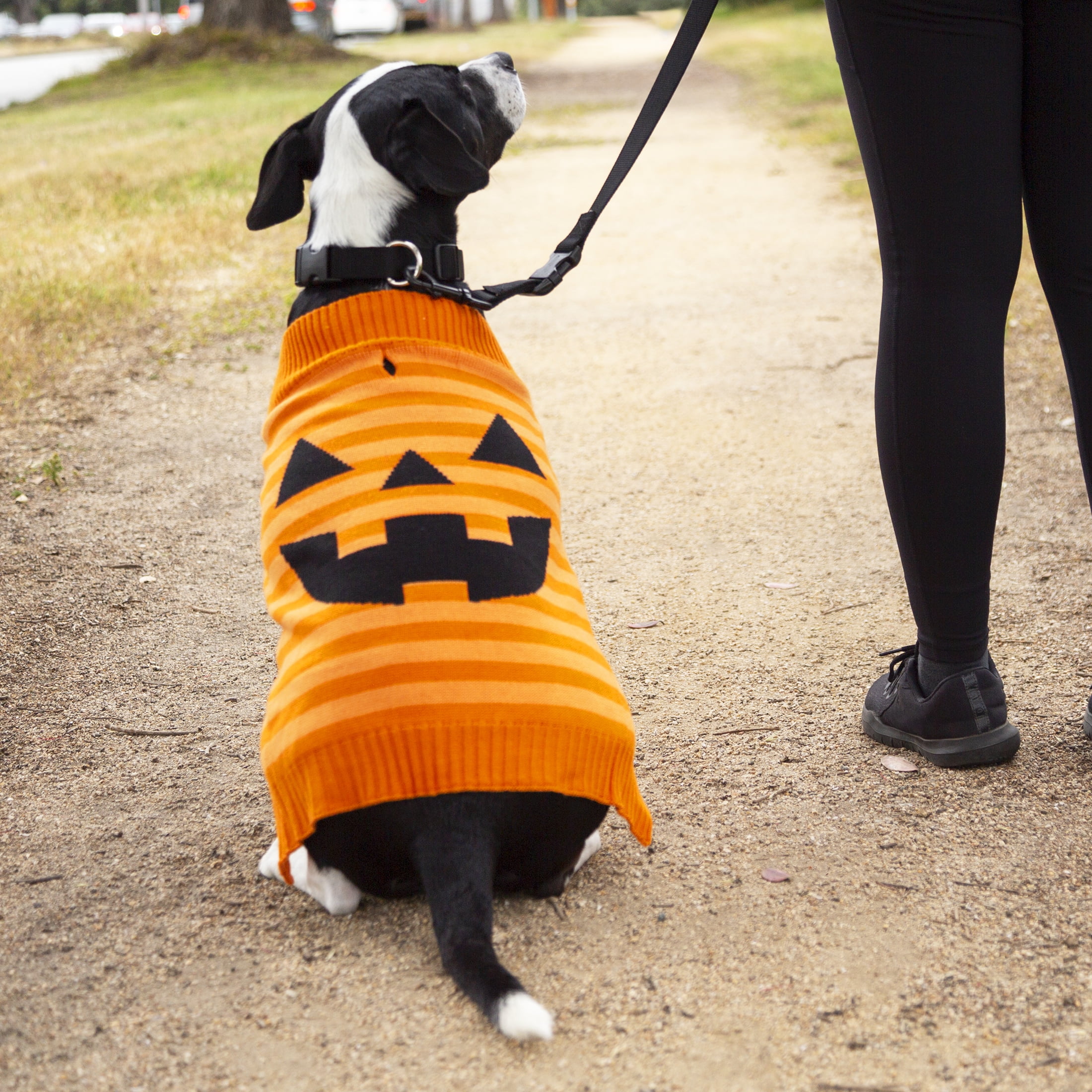 Vibrant Life Halloween Dog Clothes, Orange Jack-O-lantern Sweater, for Dogs, Size Medium