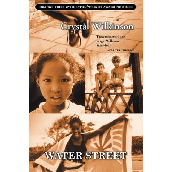 Pre-Owned Water Street (Paperback) 1612181112 9781612181110