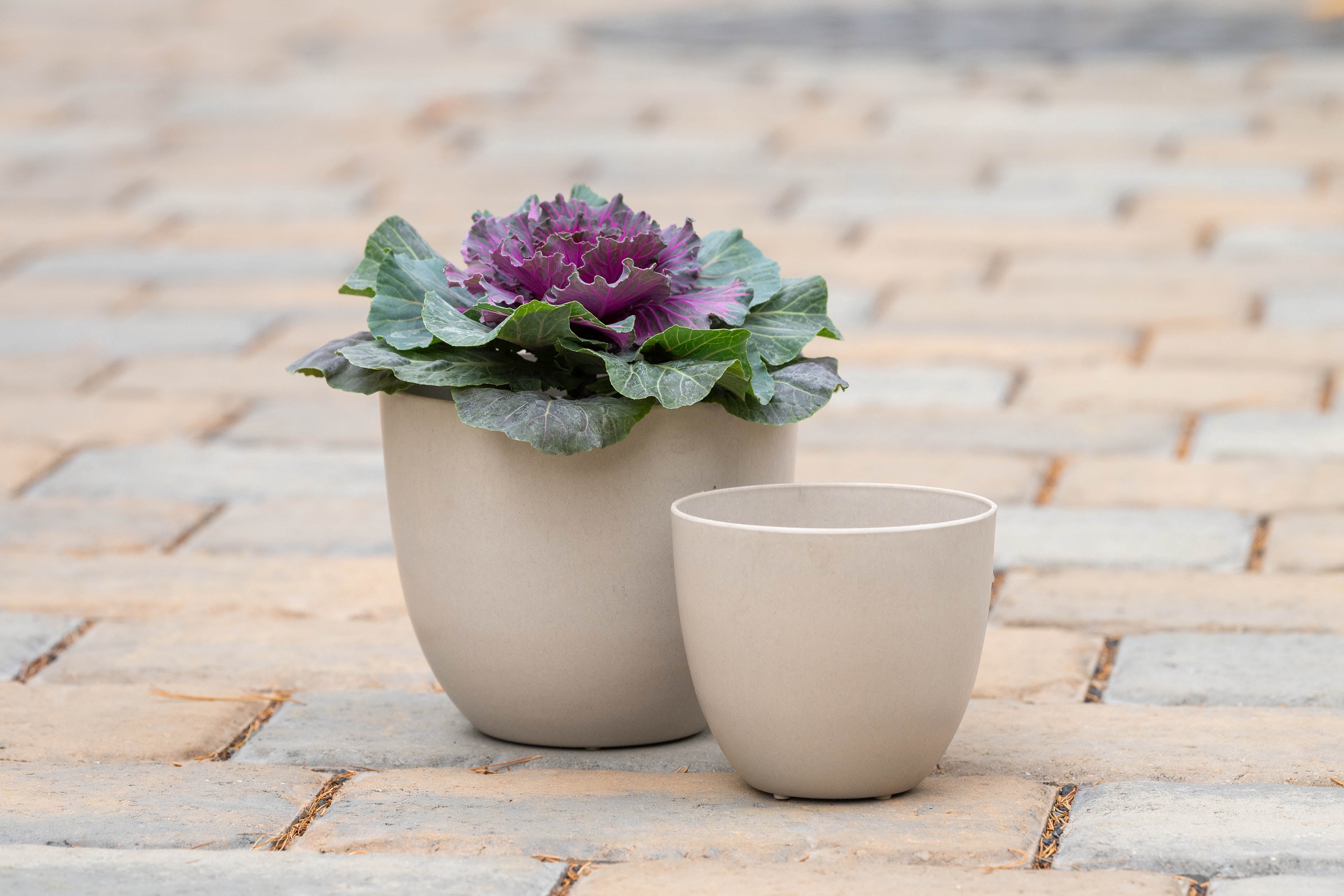Root & Vessel Bola Round Planter, Bone, 13"