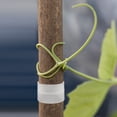thumbnail image 4 of COSMOBETTY 8Ud Conectores Para Varas De Musgo Plástico Para Fácil Montaje Y Ajuste En Plantas Trepadoras, 4 of 8