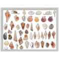 thumbnail image 3 of 10x16 Silver Shadowbox Frame - Interior Size 10x16x1.5 Inches - Made to Display Items Up To 1.5 Inches Deep, 3 of 8