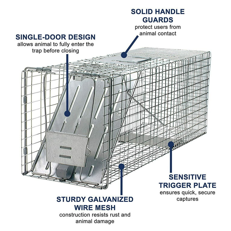  Havahart 1089 Collapsible One-Door Live Animal Cage Trap for  Raccoon, Stray Cat, Groundhog, Opossum, and Armadillos : Rodent Traps :  Patio, Lawn & Garden