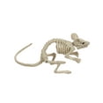 thumbnail image 4 of Official Crazybonez Faux Mouse Skeleton Sitting Pose, 4 of 7