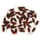 thumbnail image 1 of Regalos De Cucarachas Falsas, Regalos De Fiesta No Fáciles De Romper Cucarachas Falsas, Picnics Interesantes Para El Hogar Mgaxyff Fake Cockroach Toy, 1 of 8