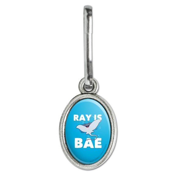 Ray is Bae Funny Humor Antiqued Oval Charm Clothes Purse Suitcase Backpack Zipper Pull Aid