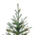 thumbnail image 5 of 6.5 ft. Pre Lit Clear Incandescent Natural Cut Narrow Dover Pine, 5 of 5