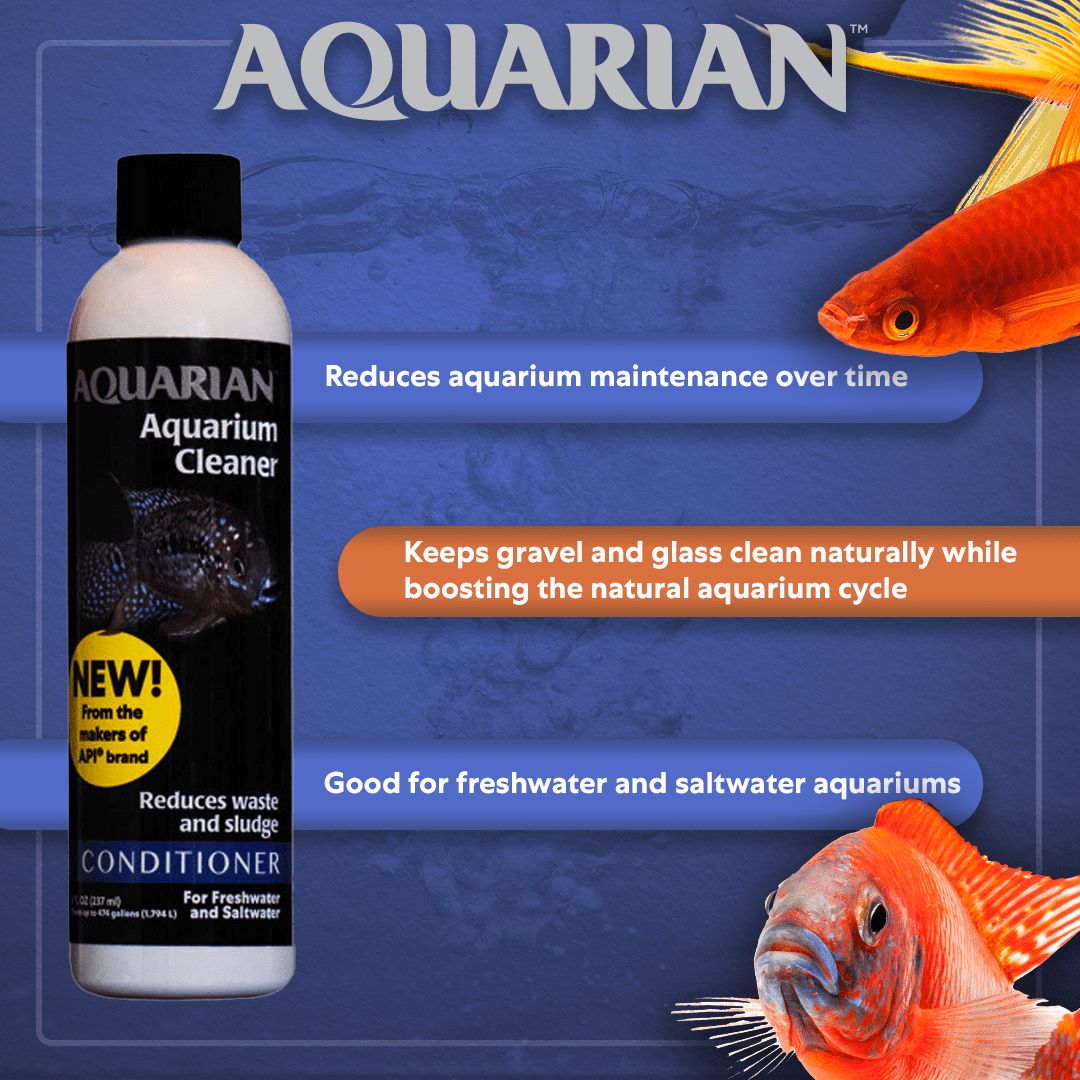 Goldfish aquarium cleaner 2025