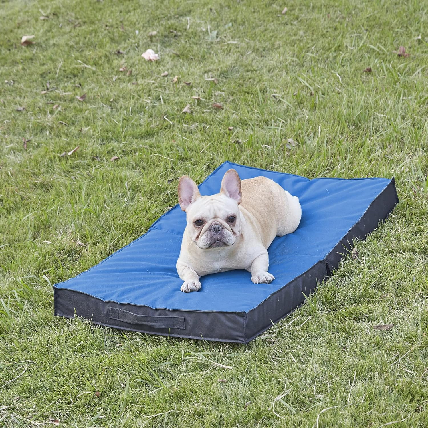 Waterproof Foldable Outdoor Dog Bed for Large Dogs, Orthopedic Portable All-Weather Bed with Washable Cover, 41 Inch for Indoor and Outside Use