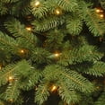 thumbnail image 2 of National Tree PEND2-300-45 4 .5 ft. Feel Real Newberry Spruce Hinged Tree With 450 Clear Lights, 2 of 2