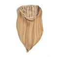 thumbnail image 5 of Jessica Simpson HairDo Ken Paves 22" Straight Hair Extensions clip R1416T (Buttered Toast), 5 of 5