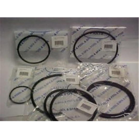 Aladdin Equipment O177 Packaged Gasket for Hayward Super Pump