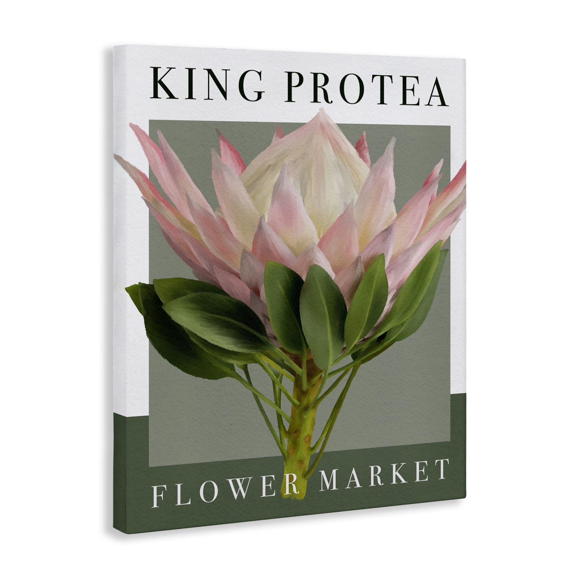 Stupell Industries King Protea Flower Market Canvas Wall Art, design by Jennifer Stith