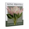 thumbnail image 2 of Stupell Industries Modern King Protea Flower Market Canvas Art, 24 x 30, by Jennifer Stith, 2 of 7