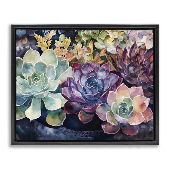 Stupell Industries Eclectic Tutti Succulents Collection Black Floating Frame Canvas Art, 21 x 17, by Svetlana Aleynikova