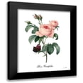 thumbnail image 1 of Sophie 6 15x18 Black Modern Framed Museum Art Print Titled - Rose Centifolia, 1 of 5