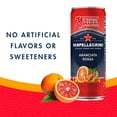 thumbnail image 5 of Sanpellegrino Sparkling Orange and Blood Orange Beverage:  Blood Oranage Flavor for Halloween, 6 pack of 11.15 Fl Oz Cans, 5 of 5