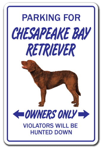 Chihuahua Bay Retriever 8 x 12  Aluminum Novelty Sign