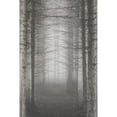 thumbnail image 3 of Brown, Denise 11x14 Black Modern Framed Museum Art Print Titled - Forest for the Trees, 3 of 5