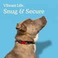 thumbnail image 4 of Vibrant Life Adjustable Fashion Dog Collar, Multicolor Bones, S, 4 of 12