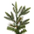 thumbnail image 2 of Vickerman A101881 8 Pi x 46 Po Sapin Shawnee Allumé 450CL, 2 of 5