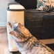 thumbnail image 5 of Rascador para Gatos - Protector para Esquina de sofá o sillón - Afilador de uñas de sisal para Mascotas - para el Lado Derecho en Gris, 5 of 8
